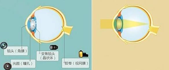 怎么佩戴老花鏡？驗(yàn)光 品牌 質(zhì)量 保養(yǎng)一個(gè)都不能少