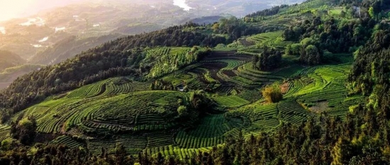 美麗島多焦鏡：這個(gè)明凈新春，以時(shí)間為軸，扶搖直上