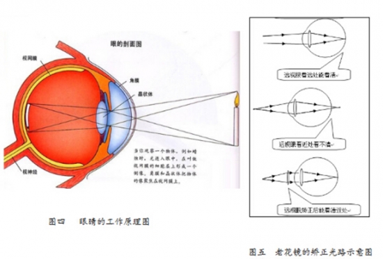 美麗島眼鏡：老花鏡不可隨意亂帶，需要在專業(yè)驗光后科學(xué)配制
